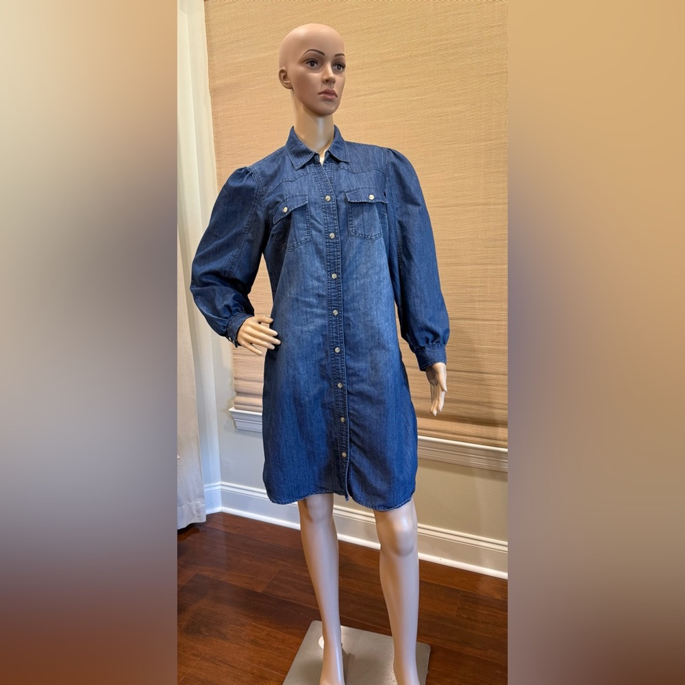 Given Kale Western Denim Button-Up Dress